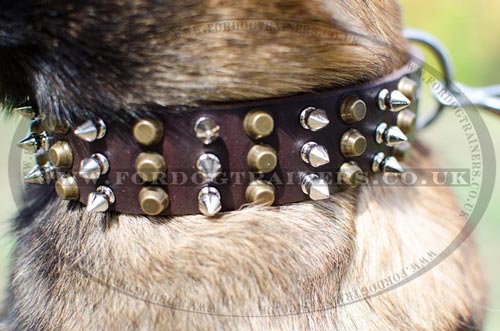 Belgian Shepherd Dog Collar Spiked