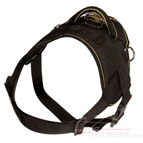 Bullmastiff harness UK