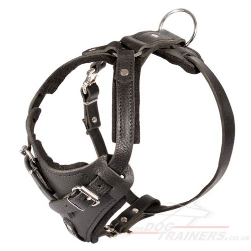 Leather dog harness