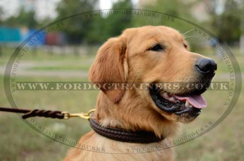 Braided Dog Collar