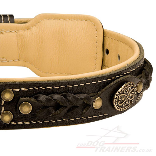 Luxury Designer Dog Collar for Great Dane