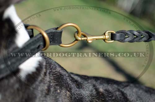 choke dog collar