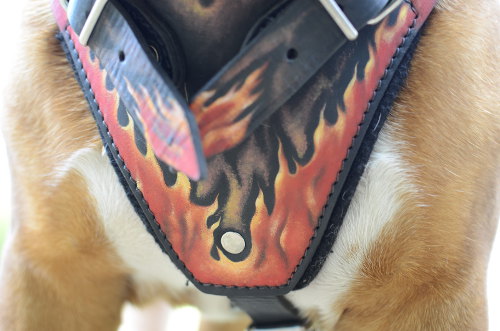 English Bulldog Harness with Hand Painting