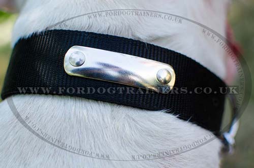 Personalized Bullterrier Collar
