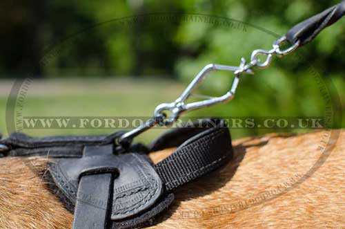 leather dog harness with handle