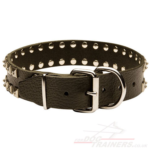 buy caterpillar dog collar for Malinois Shepherd