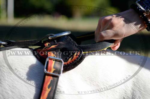 English Bull Terrier designer dog leather harness