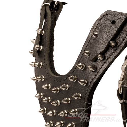 dog harness with spikes