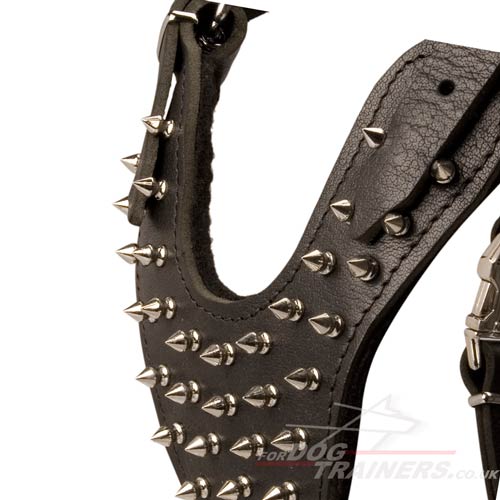 Spiked dog harness for Husky