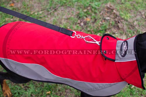 waterproof dog coat