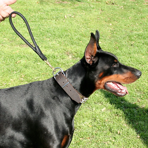 Round Leather Dog Lead