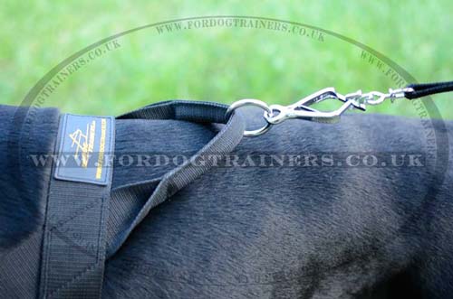 Dog Training Harness for Doberman