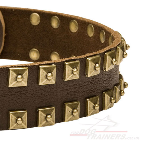 Luxury Leather Dog Collars