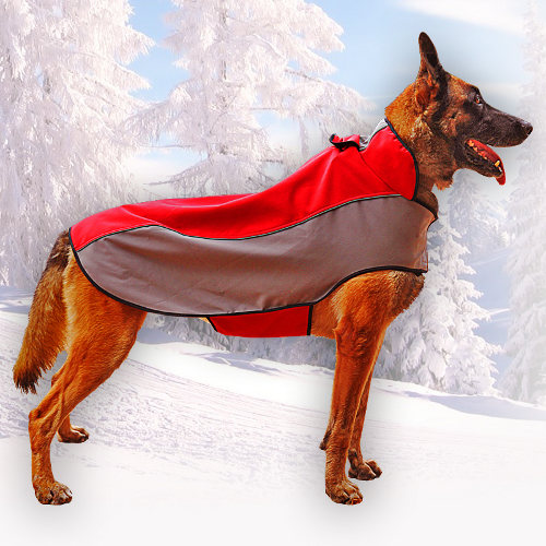 warm dog coat