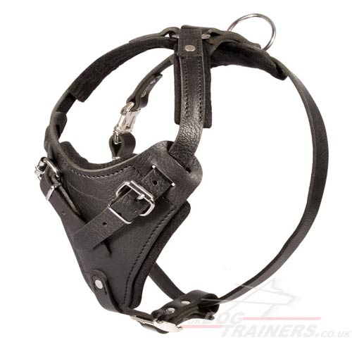 Strong & Soft Padded Leather Dog Harness K9