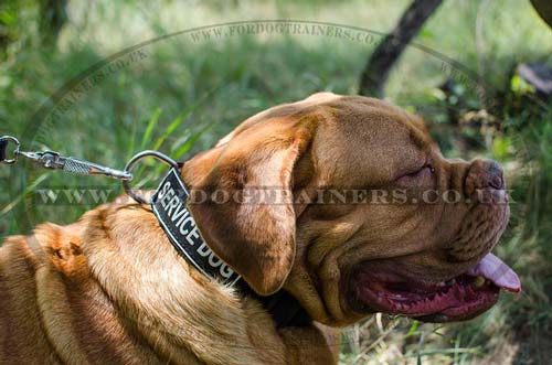 K9 dogs collar