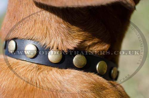 Dogue De Bordeaux collar necklace