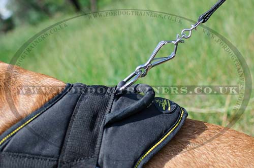 dog harness with handle