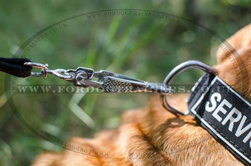 K9 dogs collar