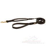 Double handled dog lead