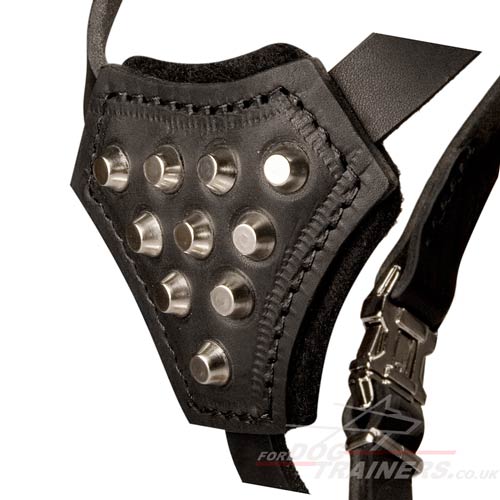 Small Studded Leather Dog Harness