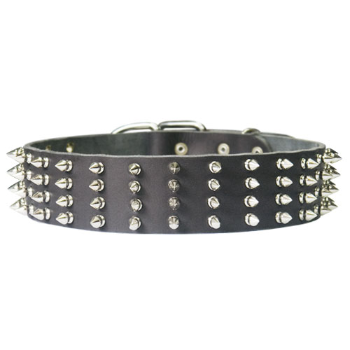 2 inch wide dog collar