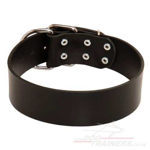 2 Inch Wide Leather Dog Collar