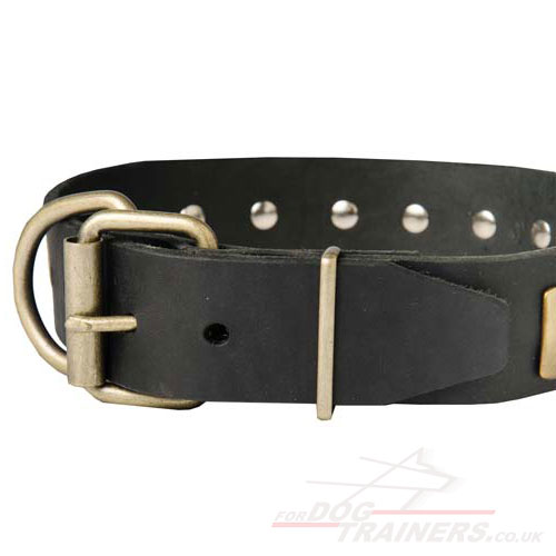 Fancy dog collar