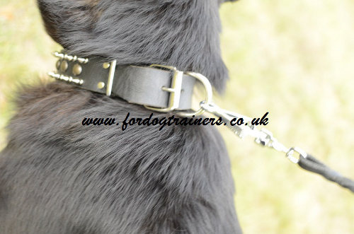 Dog Collar for GSD