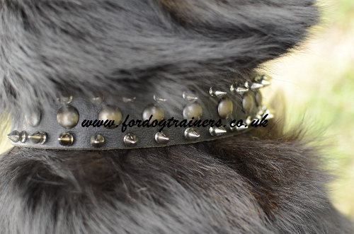 German Shepherd Spiked Collar for Big Dogs