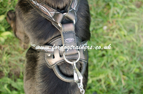 GSD harness with handle