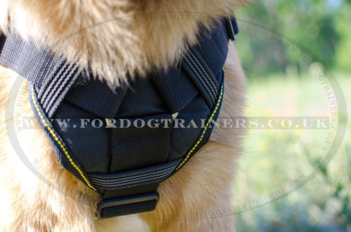 German Shepherd Dog Harness Padded