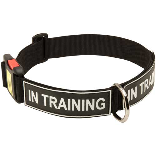 German Shepherds K9 Collar