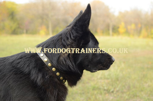 German Shepherd Leather Collars UK