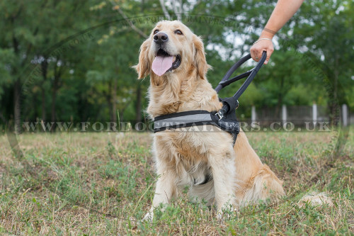 guide dog harness with handle