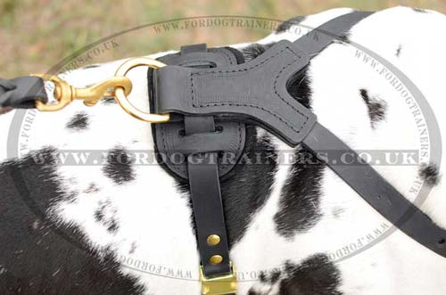 leather dog harness