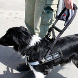 Guide Dog Harness