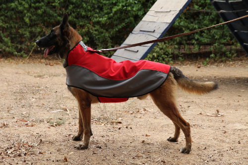 Fleece Padded Dog Coat