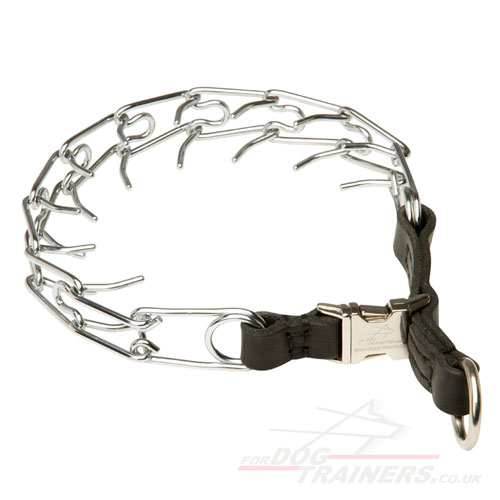 Prong Collar