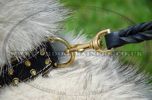 Husky Dog Collar