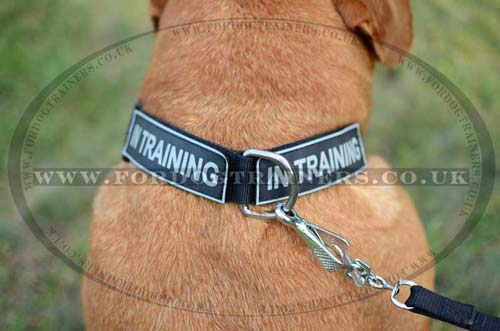 k9 dogs collar