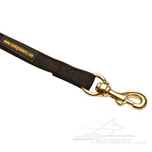 Anti Slip Dog Leash with Carabiner Clip