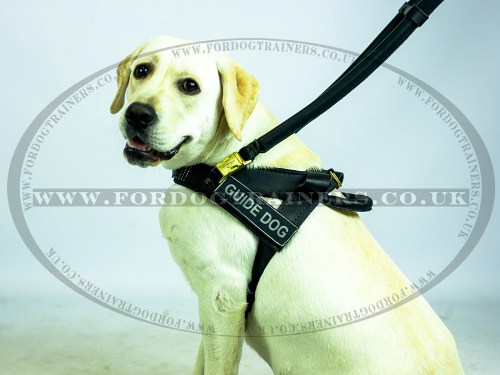 Guide Dog Harness for Labrador Retriever