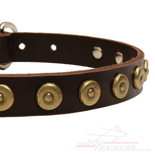 Studded Dog Collar