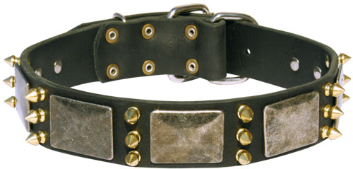 leather dog collar for Rottweiler