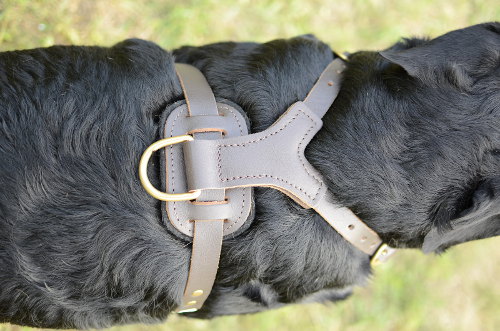 leather dog harness