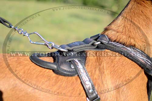 Dog harness with handle