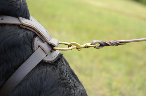 leather dog harness