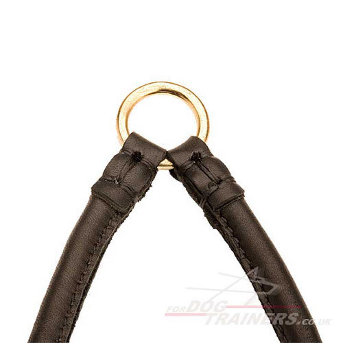 Leather short dog lead