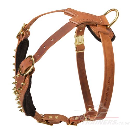 Luxury dog harnesses